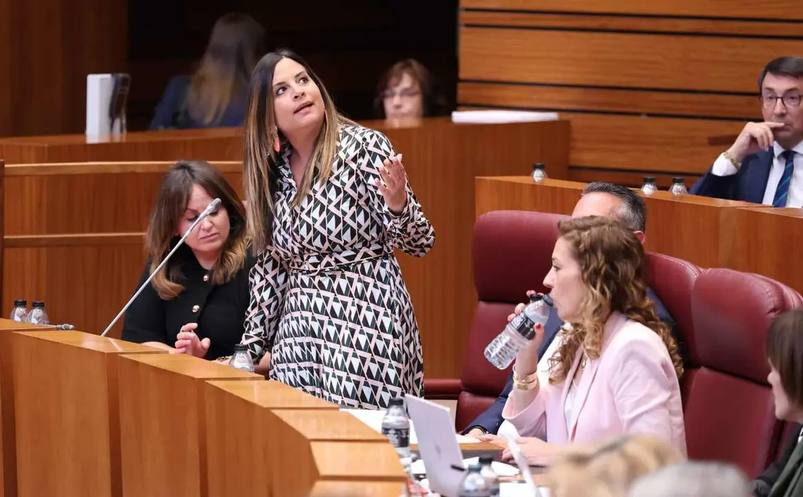 Nuria Rubio, durante el pleno de las Cortes.