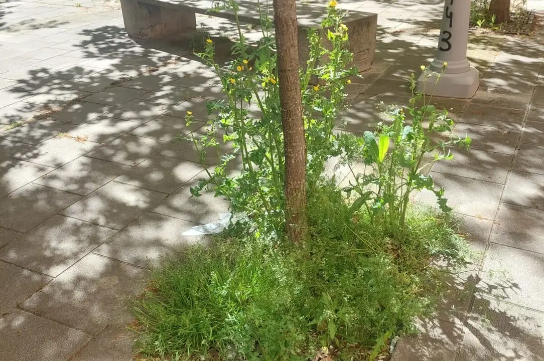Foto enviada por UPL para denunciar el estado de "abandono" de Eras de Renueva