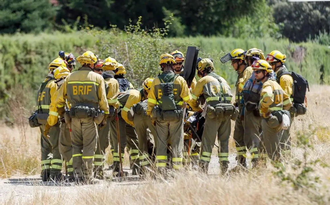 Algunos brigadistas momentos antes de iniciar las labores de extinción de un incendio.
