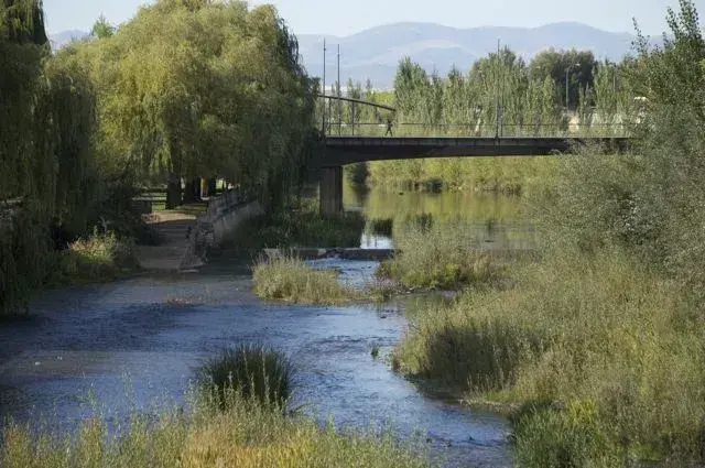 Ribera del Río Bernesga a su paso por León