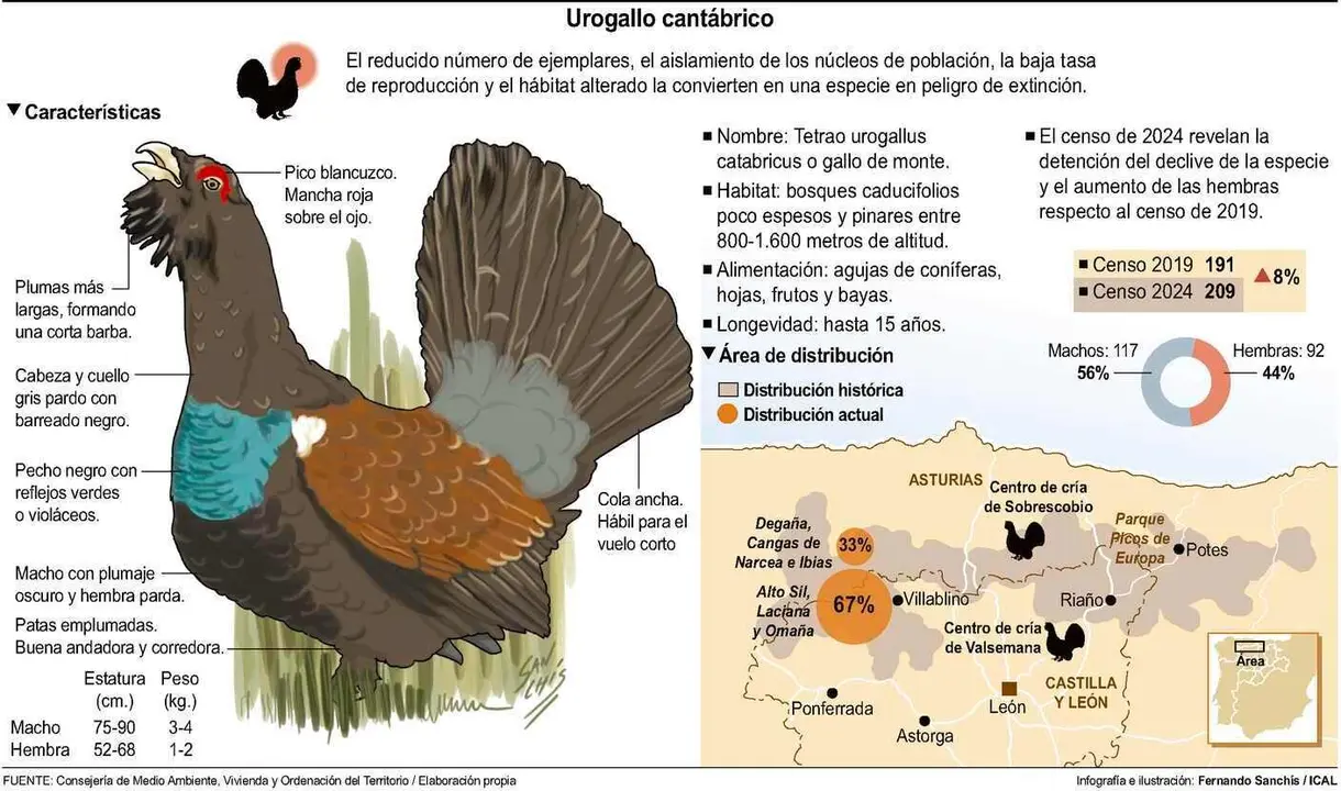 Mapa de distribución del urogallo cantábrico.