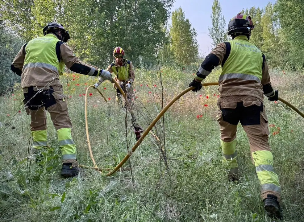 Los Bomberos de León durante su intervención de este domingo.