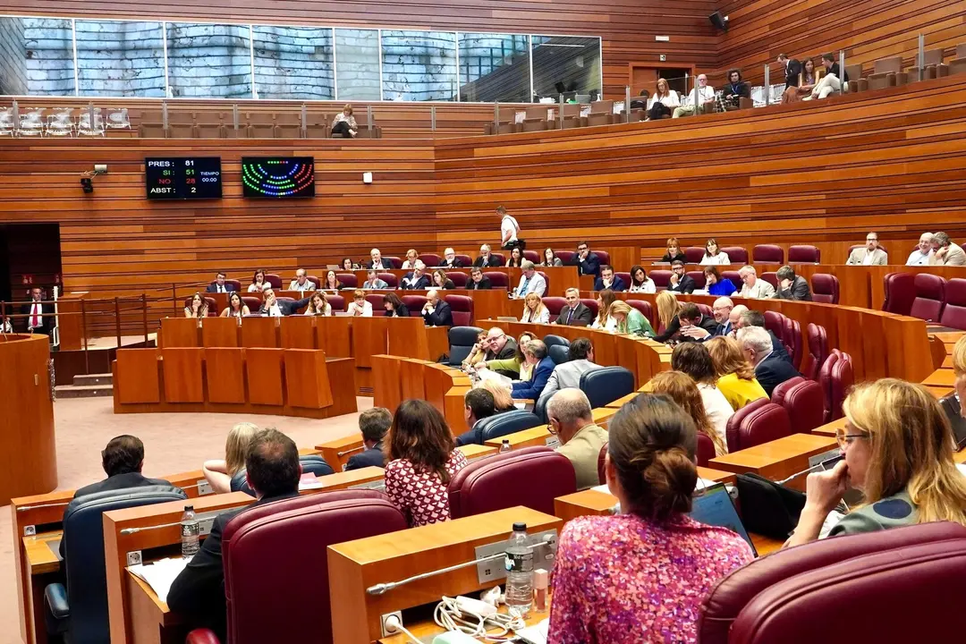 Votación en el Pleno de las Cortes de Castilla y León