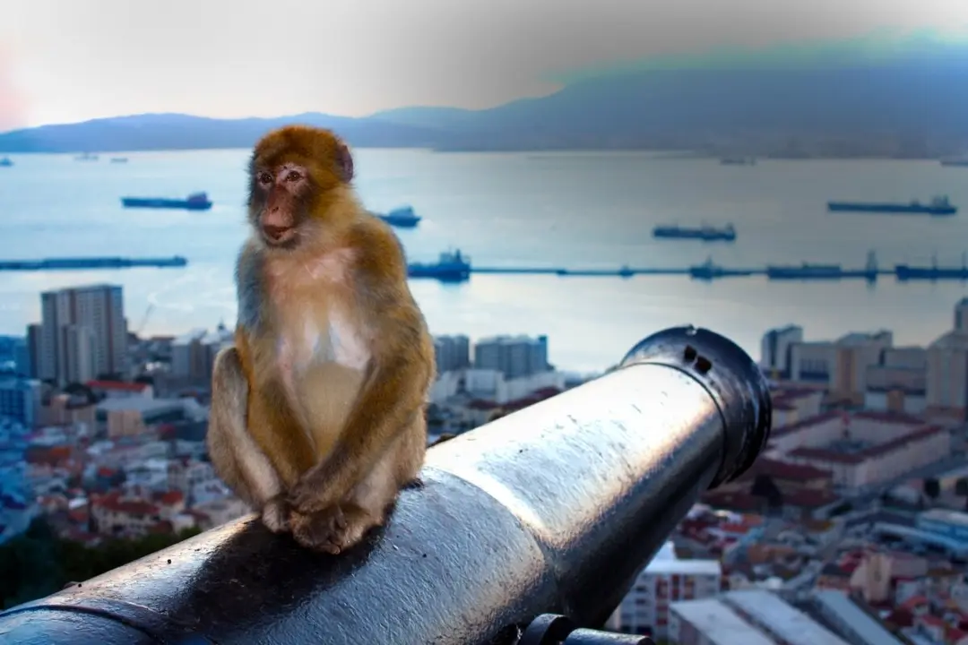 Imagen de Gibraltar desde el Peñón con la península ibérica al fondo
