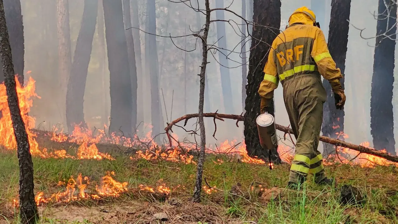 Un brigadista forestal, durante una intervención.