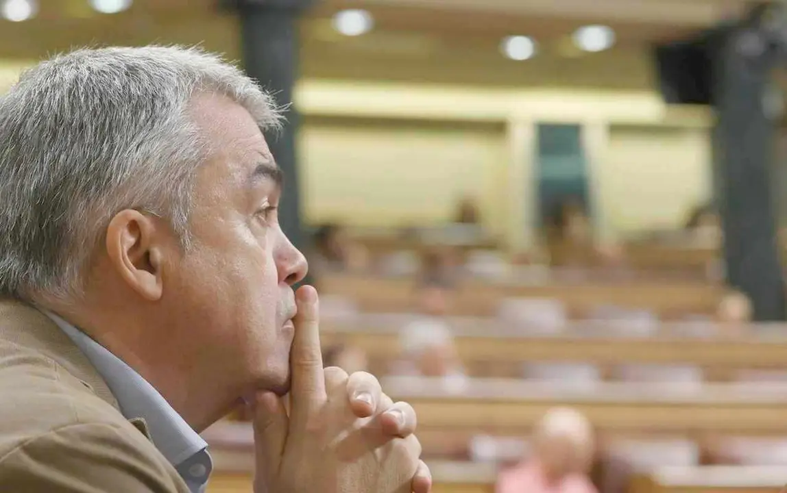 Santos Cerdán, en el Congreso de los Diputados