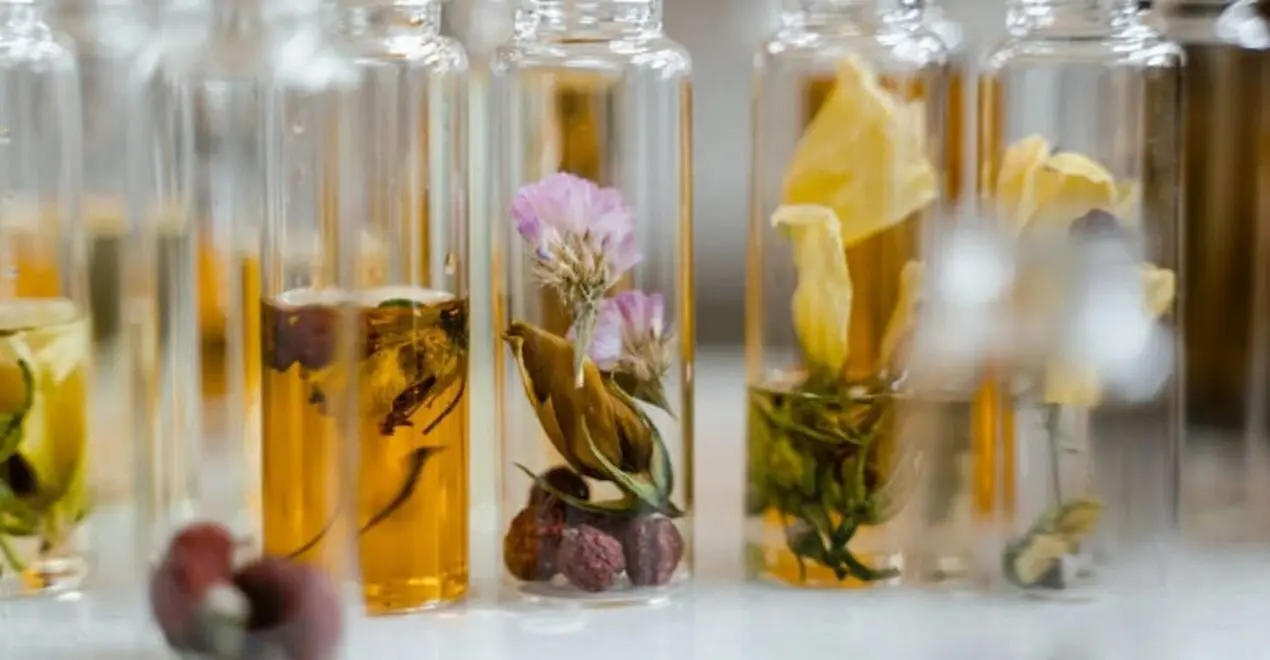 pLANTAS EN LA COSMÉTICA NATURAL