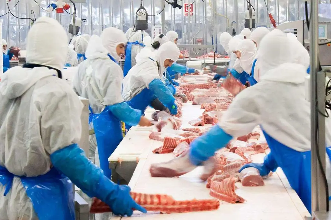 Trabajadores de la planta de Embutidos Rodríguez.