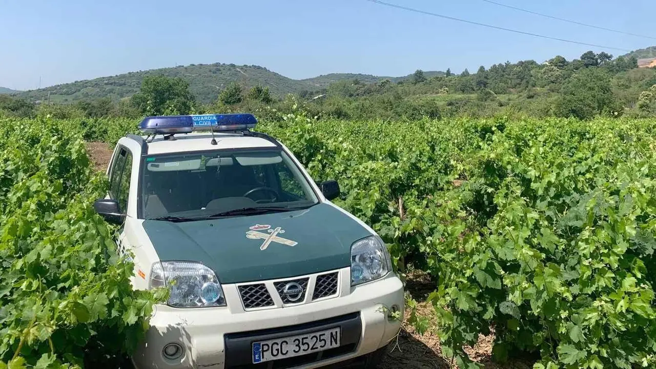 Imagen de una patrulla de Toral de los Vados en la explotación vinícola.