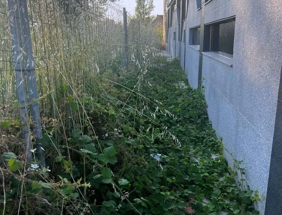 Imagen del estado de las calle de Trobajo que denuncia Vox. Foto: Vox San Andrés