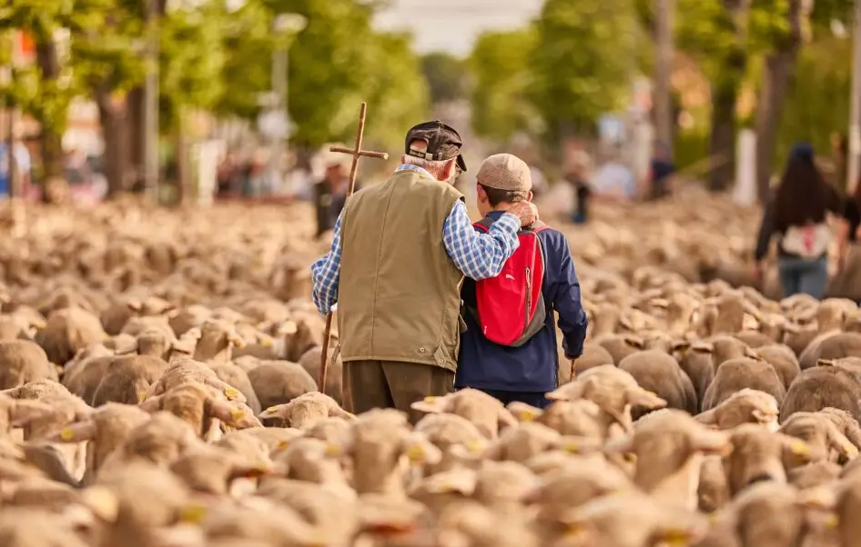 Nace ‘Caminos Trashumantes’, la primera plataforma turística nacional que vertebra las rutas históricas de la trashumancia. Foto: Caminos Trashumantes
