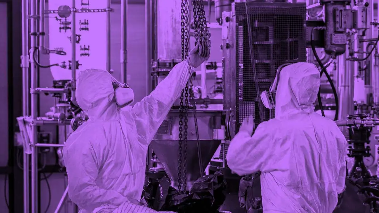 Imagen de una planta de Curia en una fotografía de su página web.