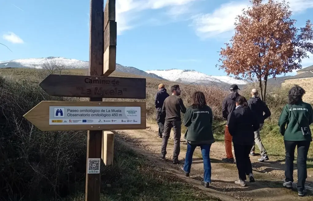 Actividad de voluntariado en el entorno del Bosque de Valdavido, en La Cabrera (León). Foto: SEO/Bridlife