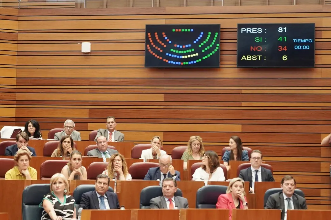 Pleno de las Cortes de Castilla y León.