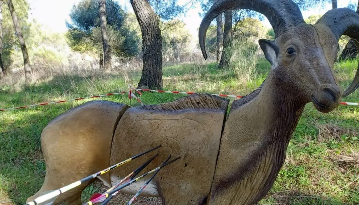 Tiro con arco Ponferrada