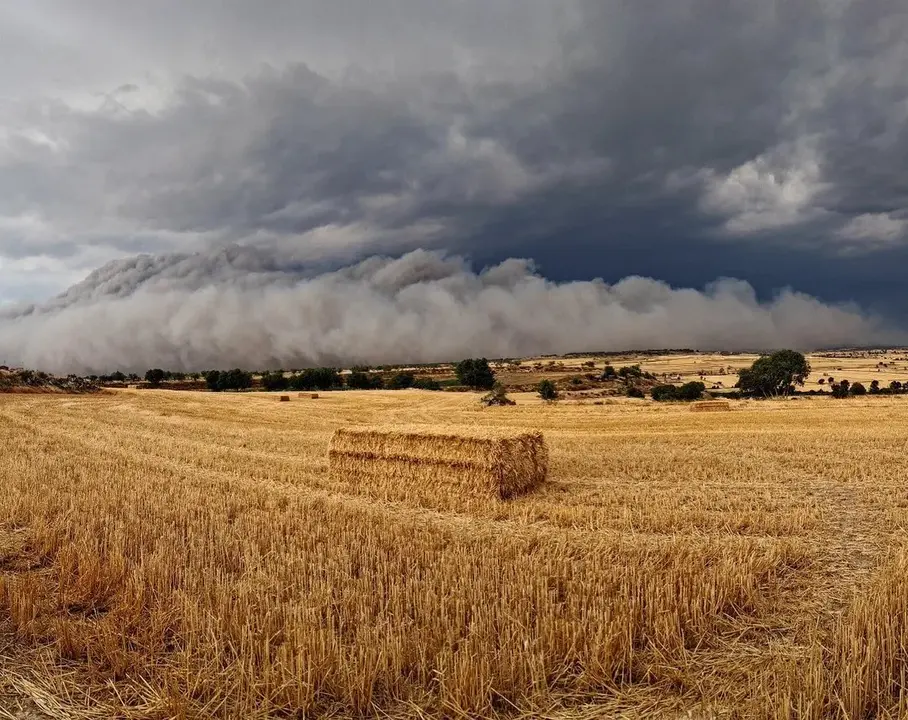 Imagen de la enorme humareda por el incendio extremo desatado este martes.