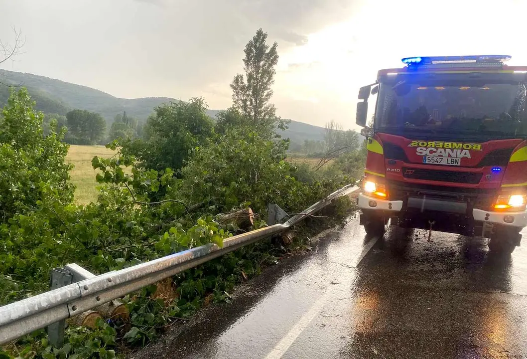 Efectivos de Bomberos de Diputación, durante la intervención en la zona. Foto: Sepeis