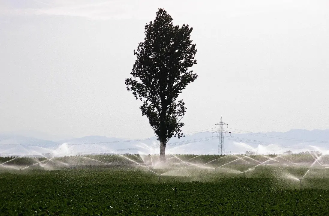 Un campo de regadío en la provincia de León. Foto: Peio García