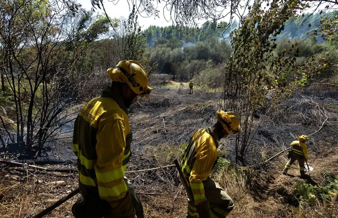 Brigadas forestales durante la extinción de un incendio la pasada campaña. Foto: Vicente