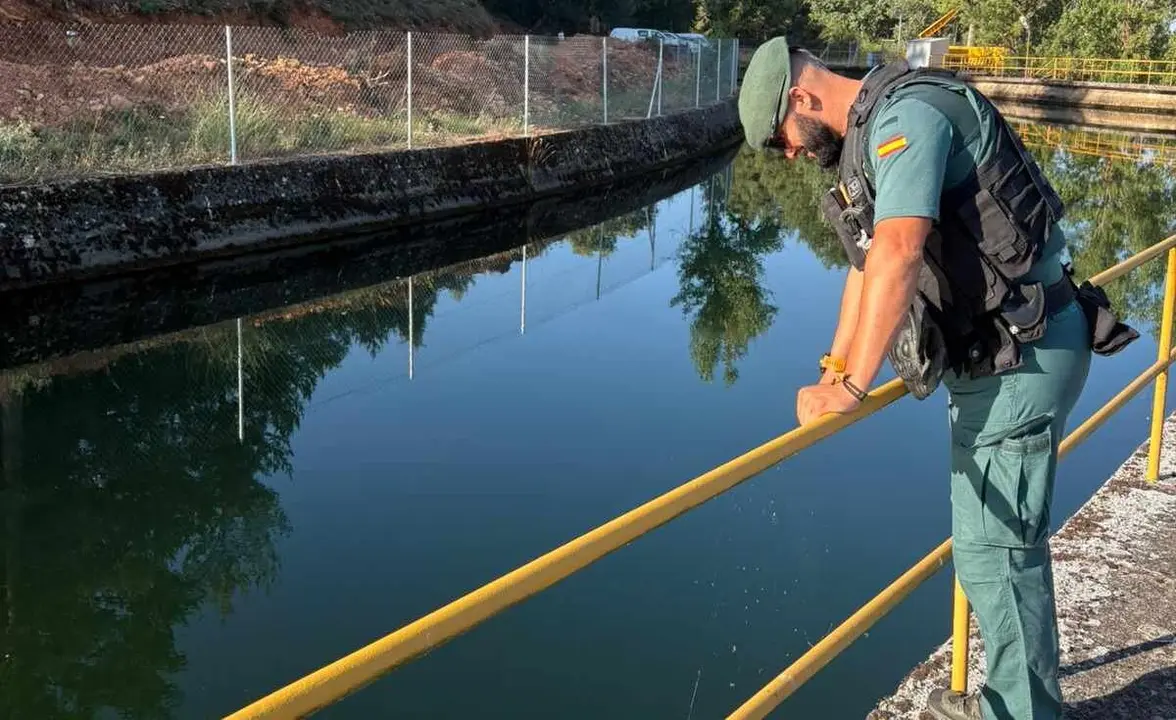Efectivos de la Guardia Civil durante las labores de búsqueda.