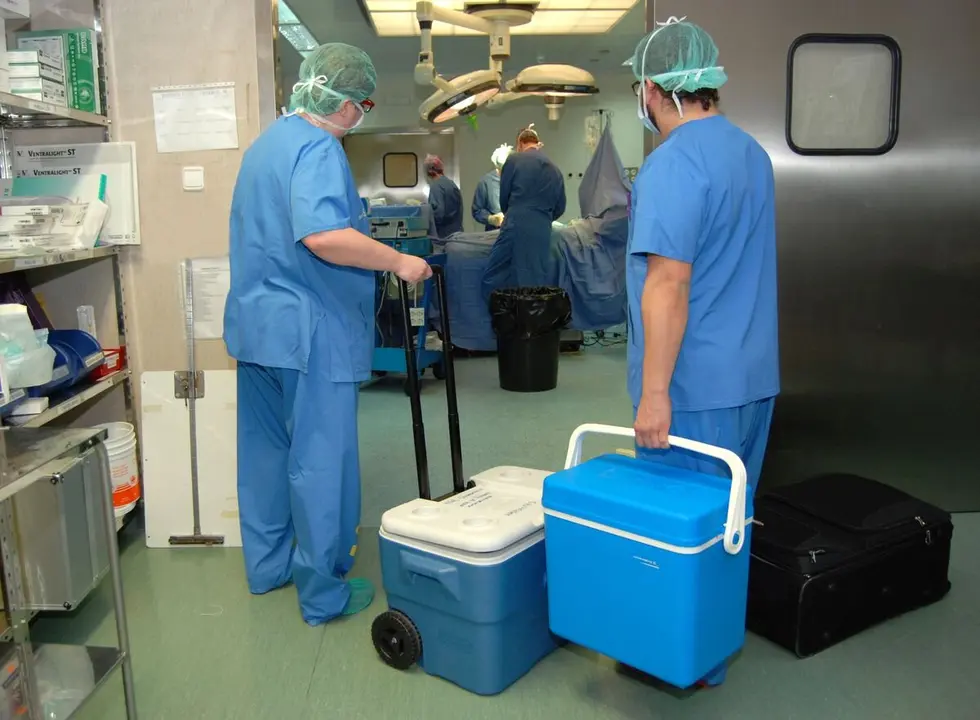 Los hospitales públicos de León suman 15 donantes de órganos en lo que va de 2025.