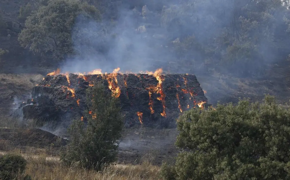 La Junta activa la situación operativa dos ante la evolución del incendio de Navaluenga (Ávila).