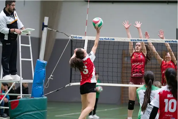 Aule voleibol