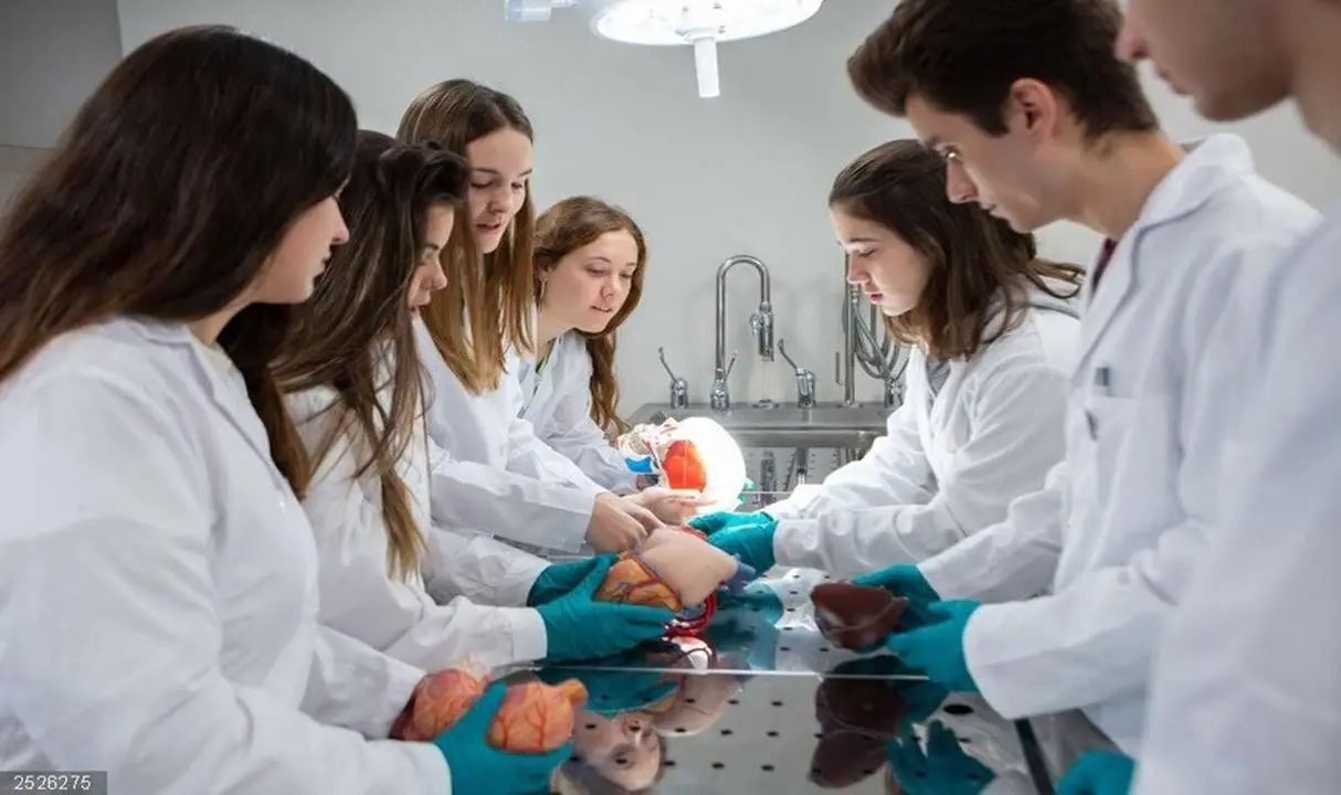 Estudiantes de Medicina durante una clase práctica.