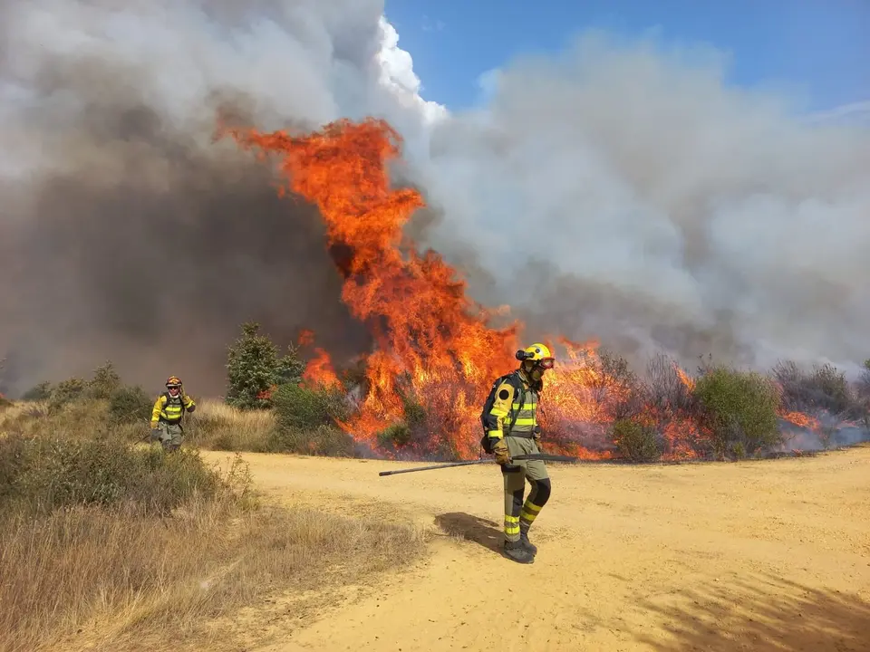 El incendio declarado en la provincia de Zamora ha saltado finalmente al sur de León.