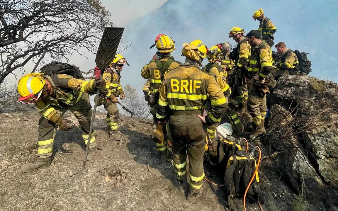 Brigadistas forestales, durante un operativo.