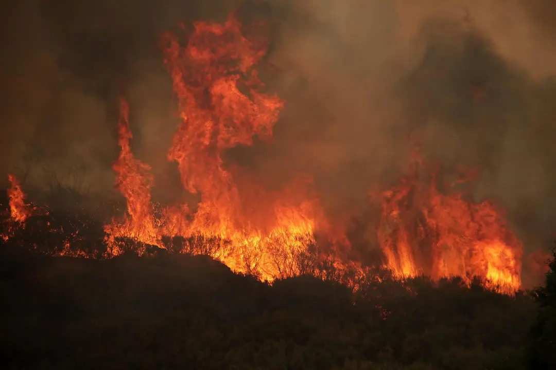 Imagen de la virulencia de las llamas en uno de los incendios de este verano. Foto: Peio García