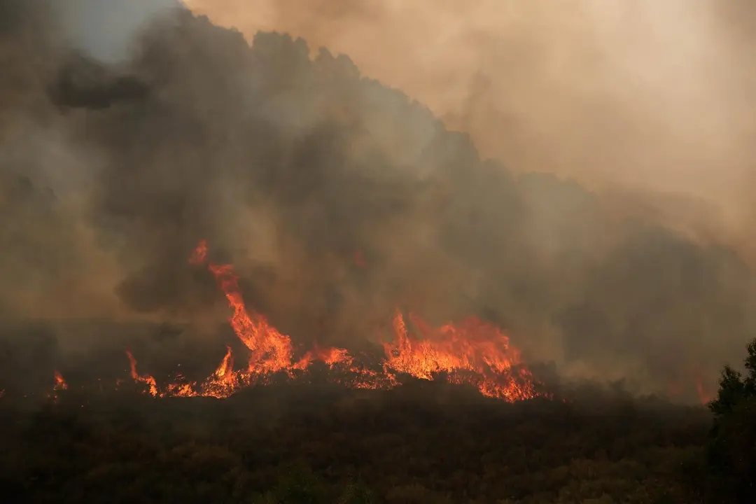 Imagen de uno de los incendios de este verano en El Bierzo.