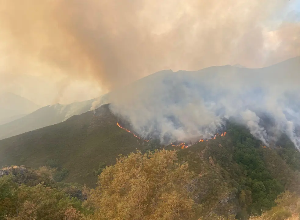 Incendio en el municipio de Oencia (León)
