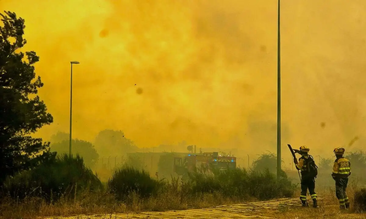 incendio forestal