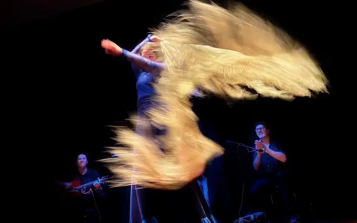CUADRO-FLAMENCO-DE-LITA-BLANCO.jpg
