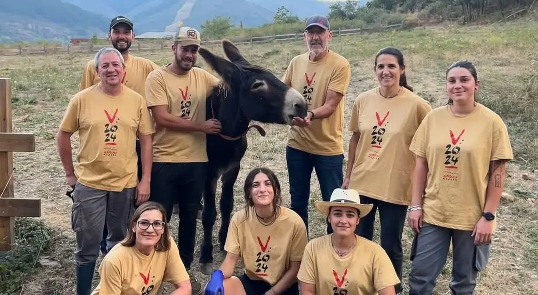 Risto, el burro de la bodega Encima Wines de Molinaseca, junto con algunos de los responsables y trabajadores. Foto: Encima Wines