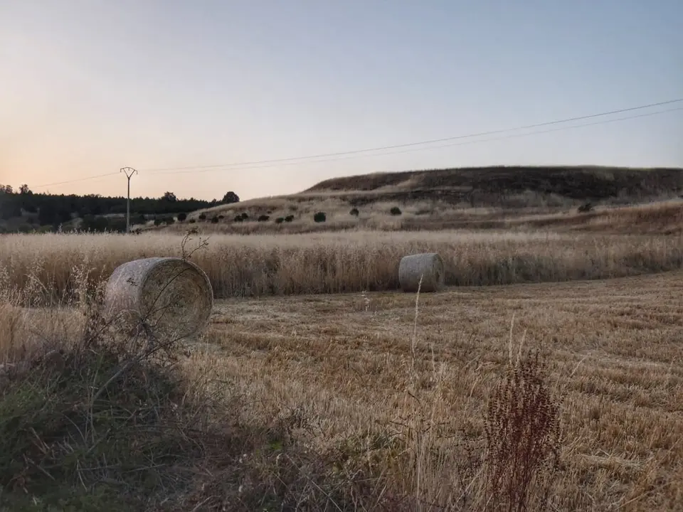 El Ayuntamiento de Val de San Lorenzo adquiere una parcela que forma parte del yacimiento arqueológico de Los Castros
