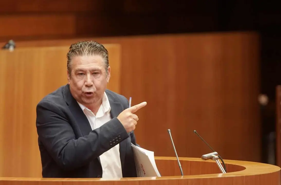 Luis Mariano Santos, durante el pleno de las Cortes.