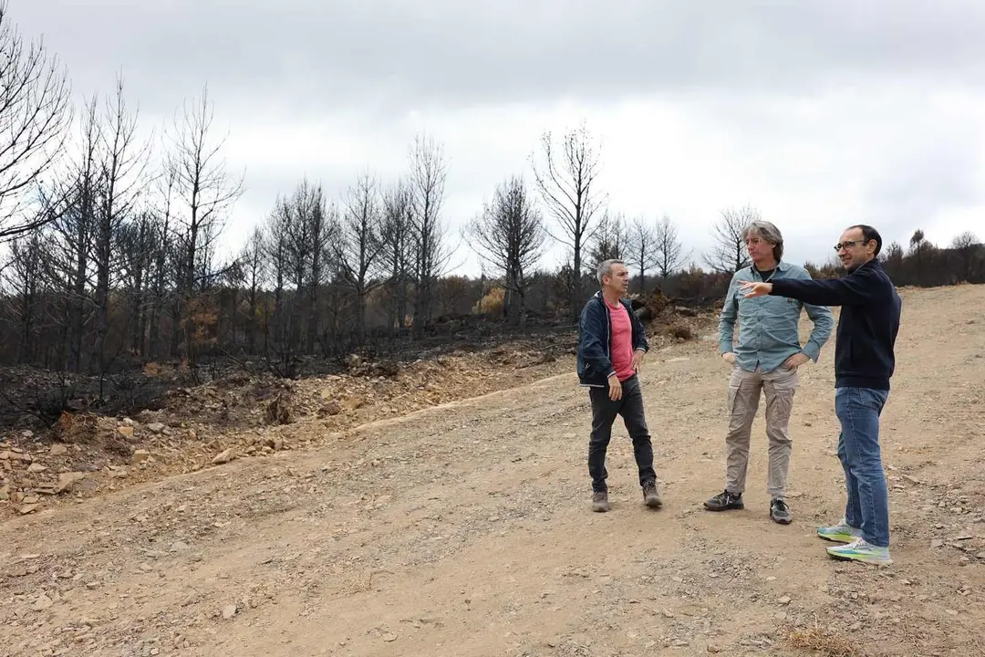El secretario general del PSOE de Castilla y León, Carlos Martínez, visita La Alberca, una de las zonas afectadas por los incendios