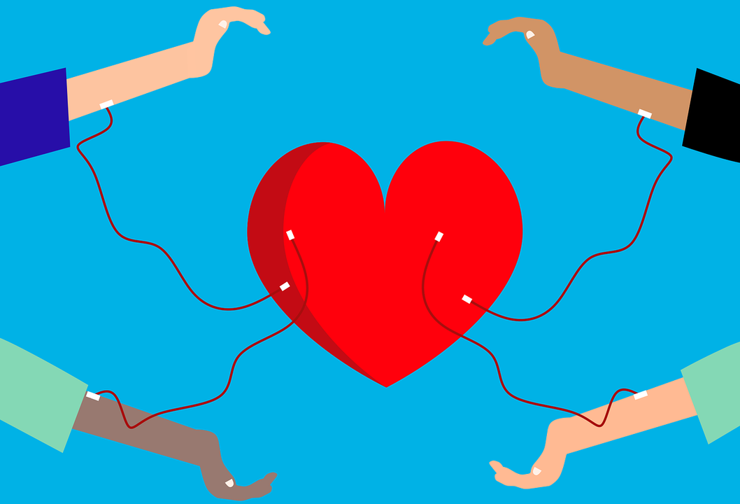 Programación de donación de sangre en León.