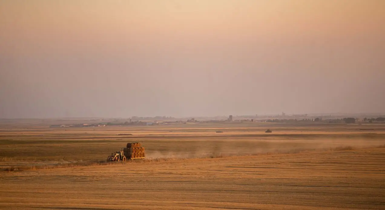 Tierras de cultivo de cereal en Tierra de Campos