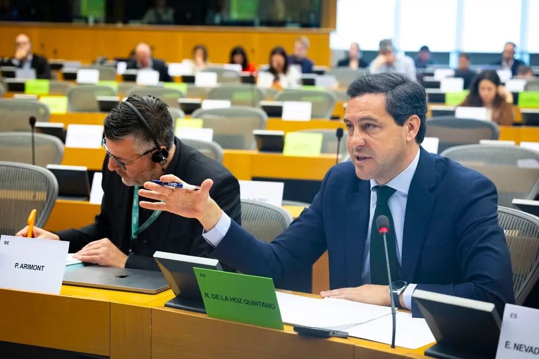 El eurodiputado Raúl de la Hoz Quintano interviene durante la audiencia "Desafíos de la despoblación en las regiones europeas" en el Parlamento Europeo.