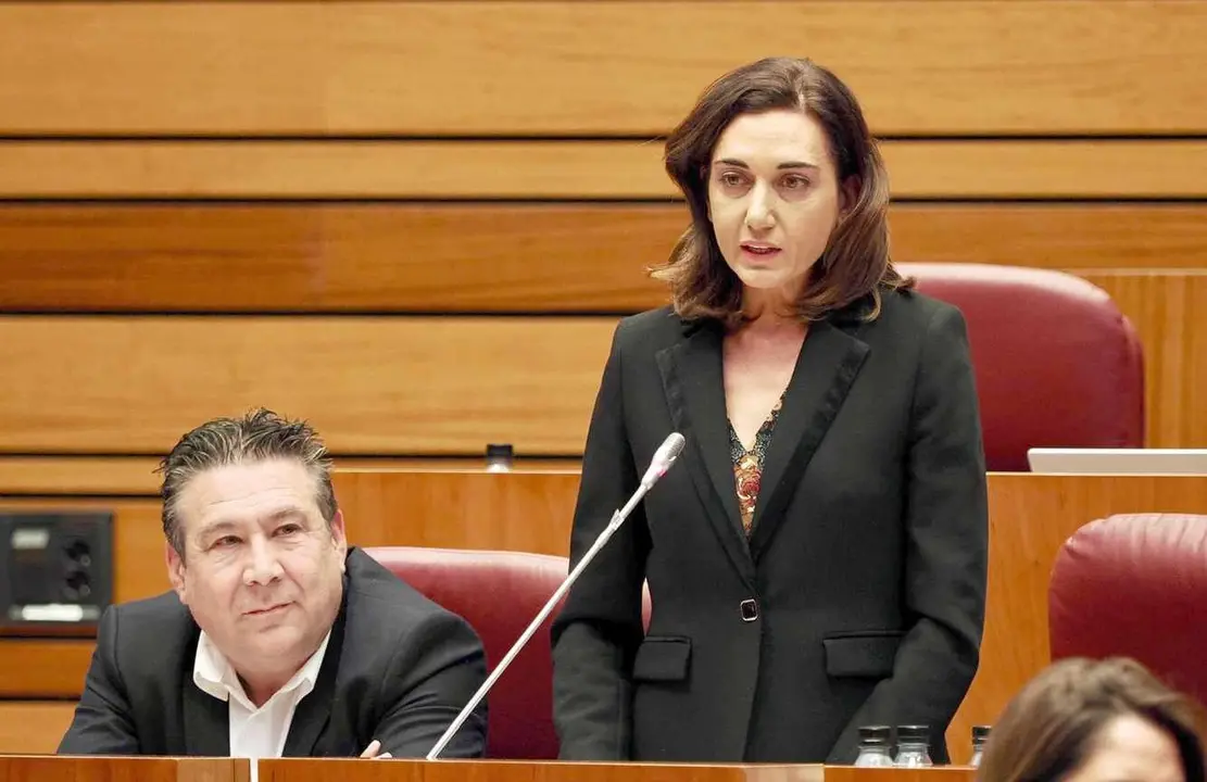 Alicia Gallero, durante su intervención en el pleno de las Cortes.
