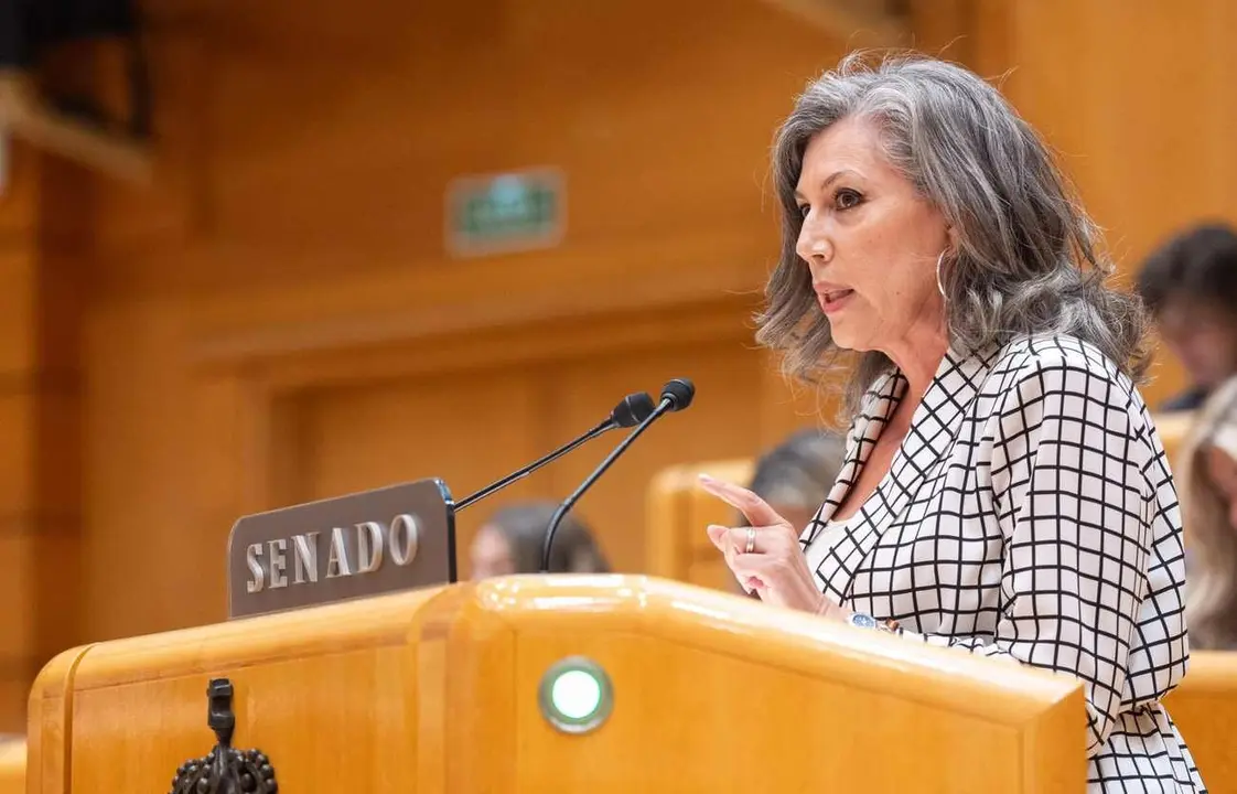 Asunción Mayo, durante la interpelación a Óscar Puente.