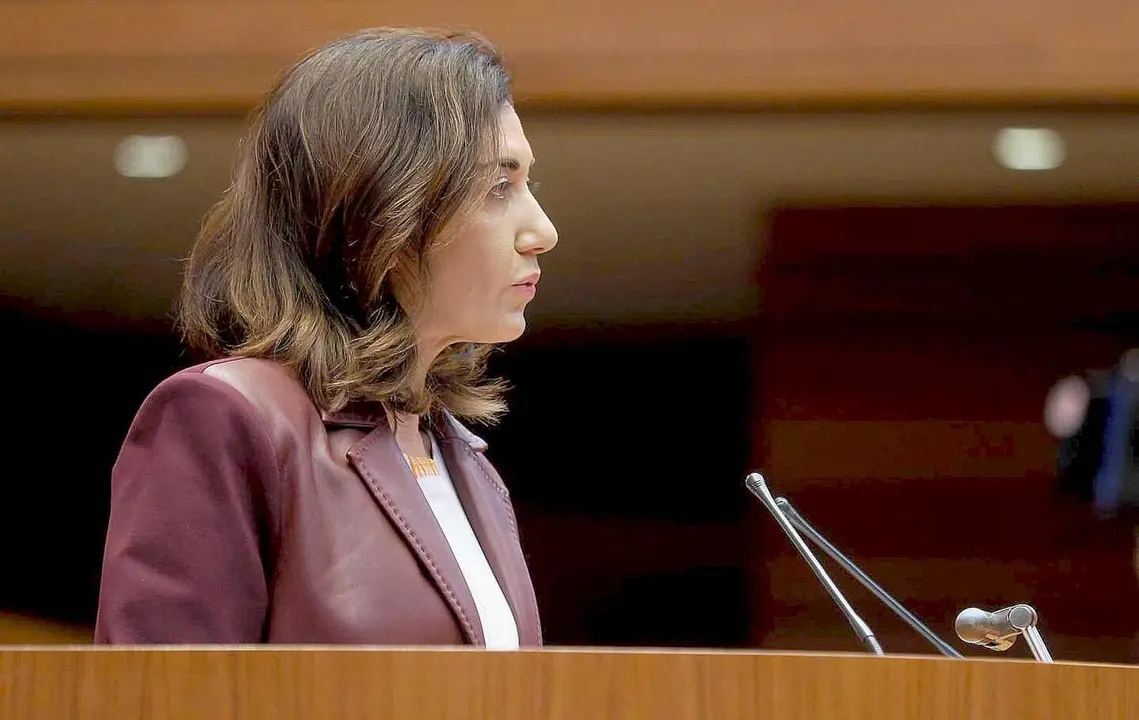 La procuradora de UPL, Alicia Gallego.