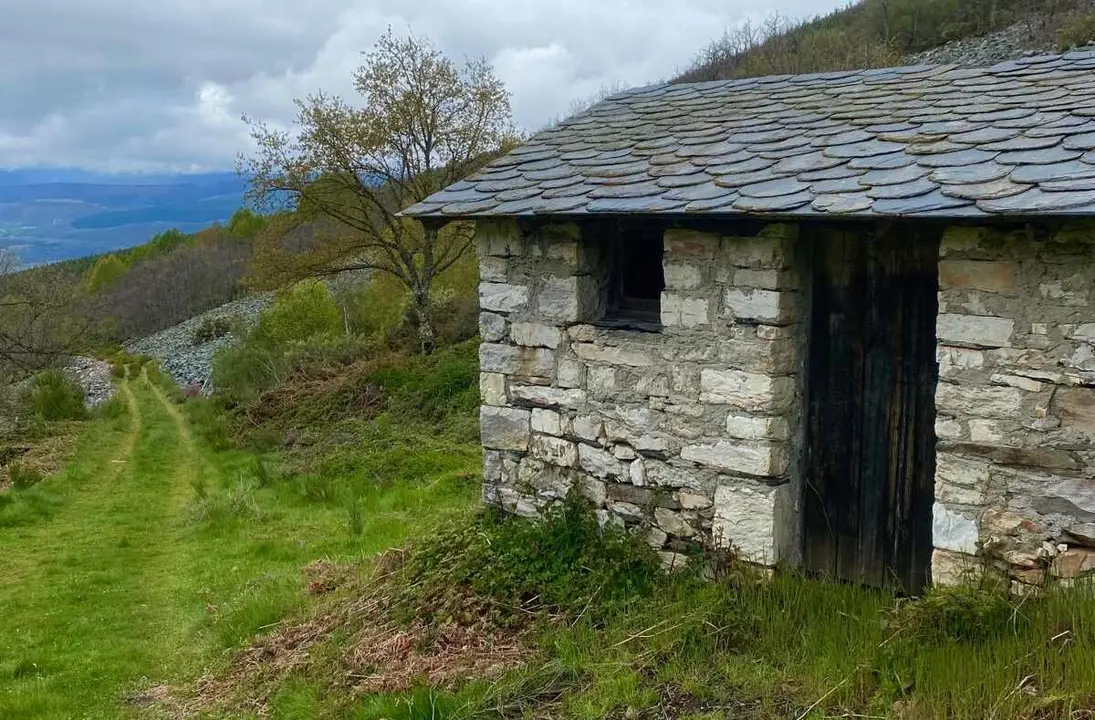 Imagen de una de las zonas del recorrido.