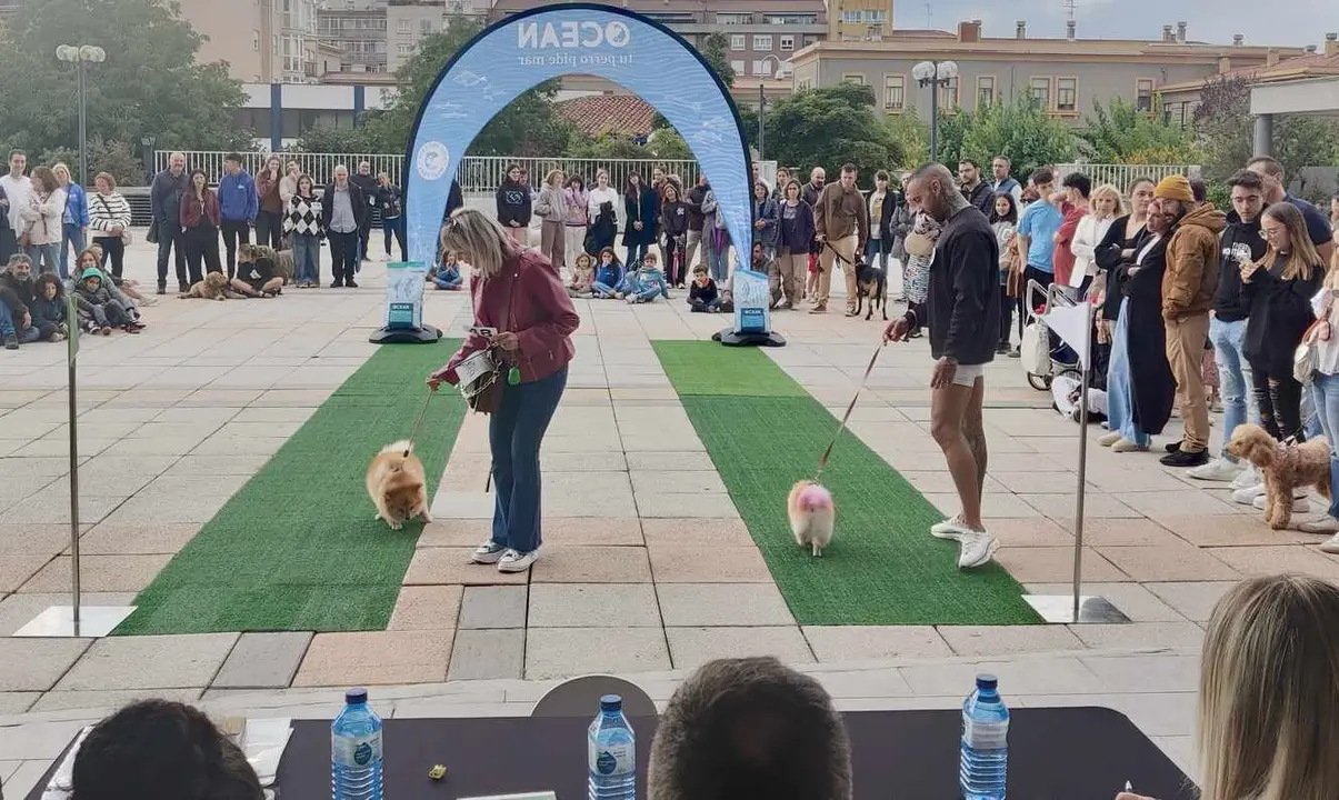 El Corte Inglés celebra el Día de las Mascotas con actividades y adopciones en León.