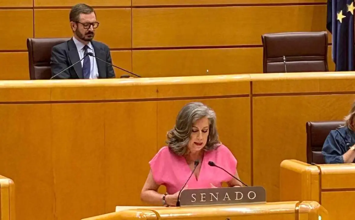 Asunción Mayo, durante su intervención en el Senado.