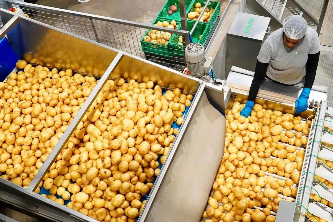 Imagen de la planta de producción de Hijolusa. Foto: Campillo