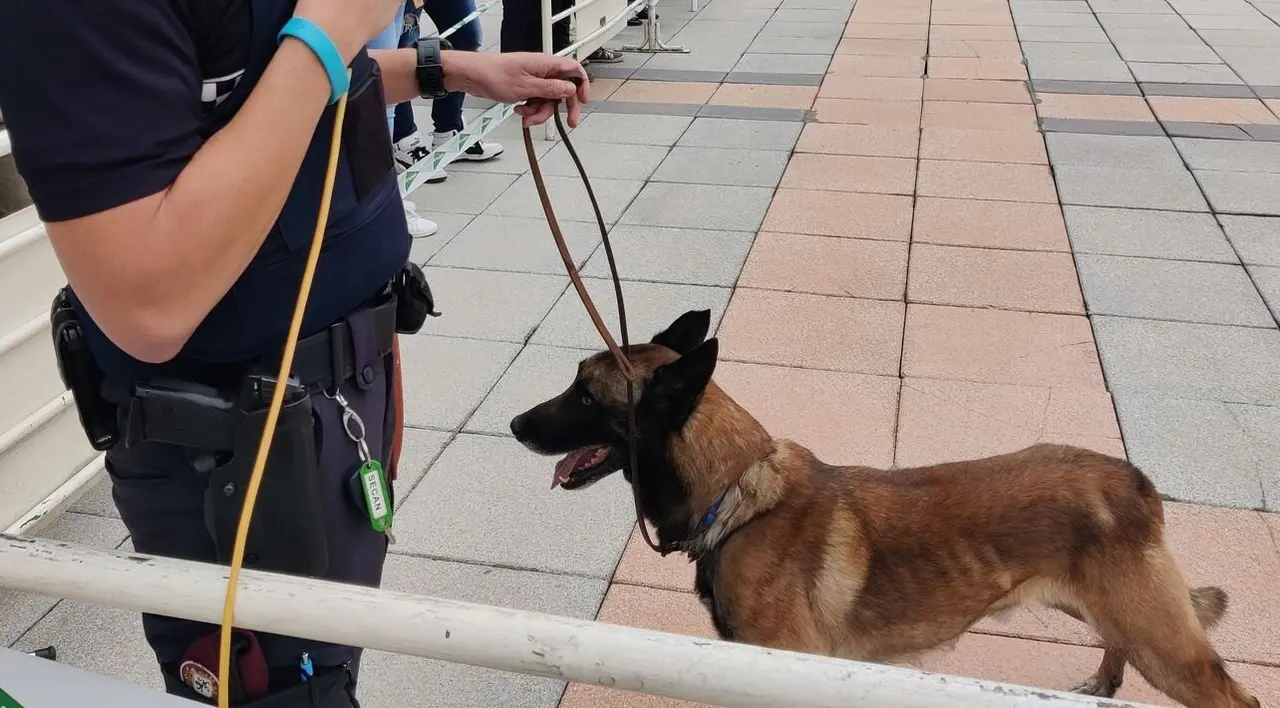 Turbo_Policia_Local 1